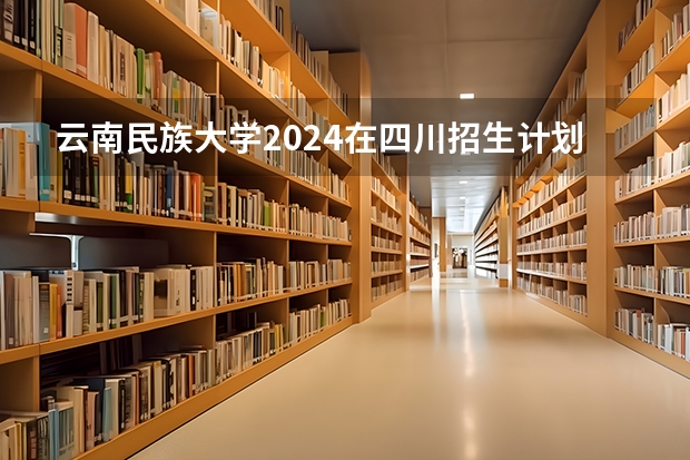云南民族大学2024在四川招生计划