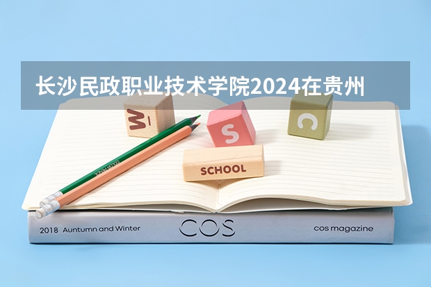 长沙民政职业技术学院2024在贵州招生计划