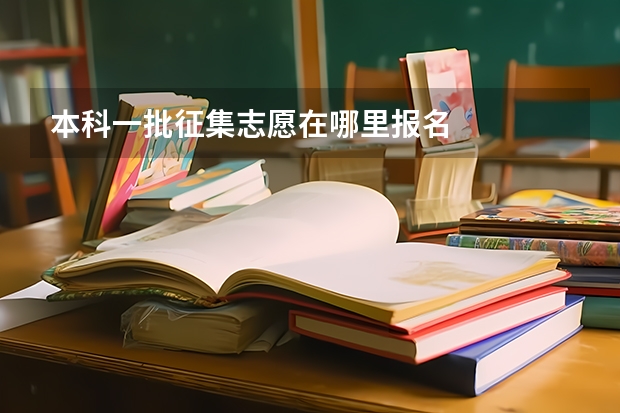 本科一批征集志愿在哪里报名