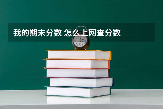 我的期末分数 怎么上网查分数