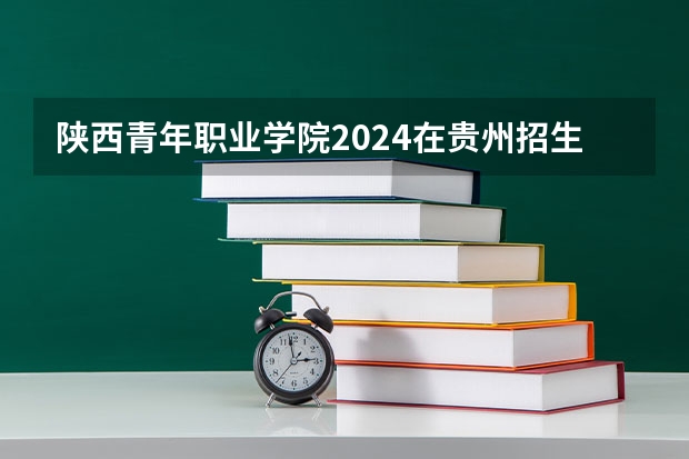 陕西青年职业学院2024在贵州招生计划