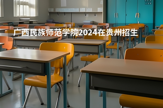 广西民族师范学院2024在贵州招生计划