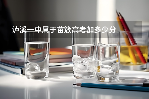 泸溪一中属于苗簇高考加多少分