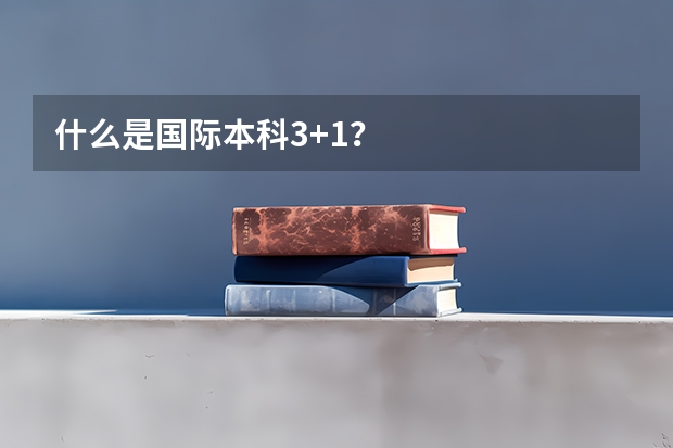 什么是国际本科3+1？