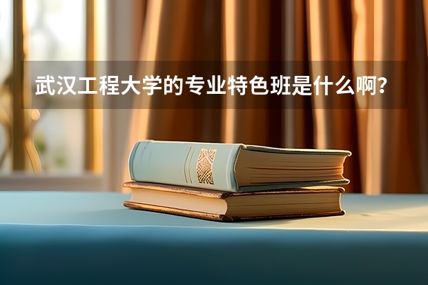 武汉工程大学的专业特色班是什么啊?我看09招生章程上说过一本就会进特色班的,是不是啊???