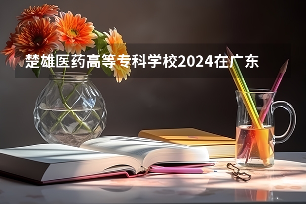 楚雄医药高等专科学校2024在广东招生计划