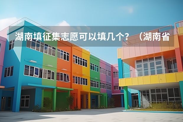 湖南填征集志愿可以填几个？（湖南省本科提前批可以填几个志愿）