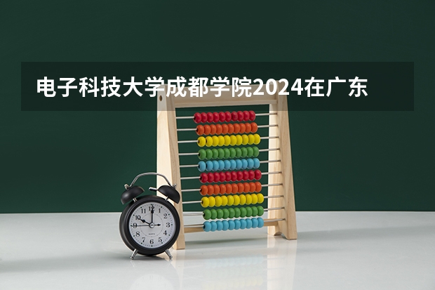 电子科技大学成都学院2024在广东招生计划