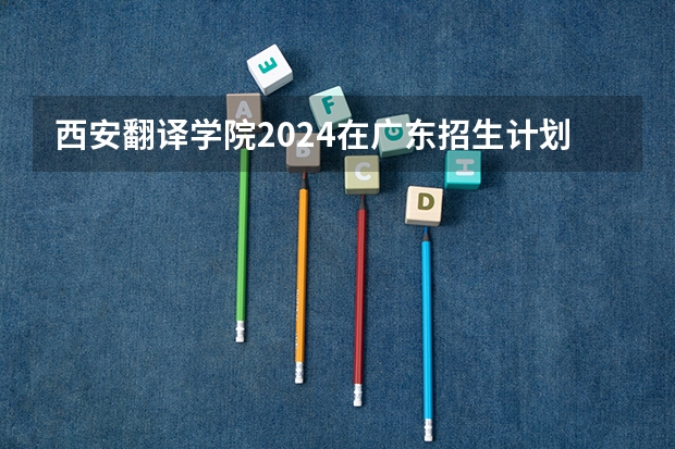西安翻译学院2024在广东招生计划