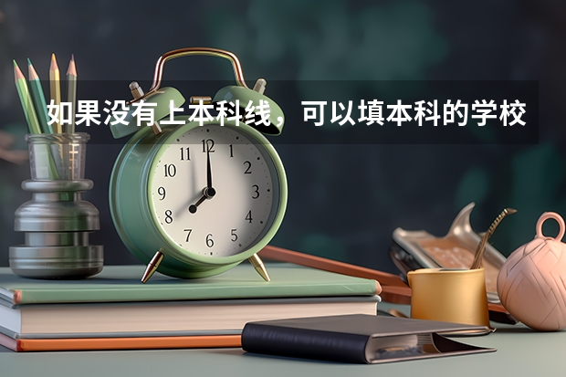 如果没有上本科线，可以填本科的学校吗？
