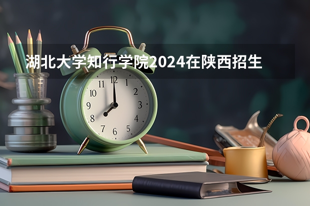 湖北大学知行学院2024在陕西招生计划