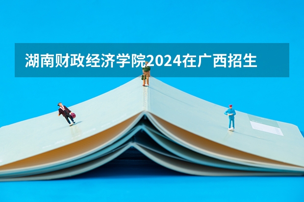 湖南财政经济学院2024在广西招生计划