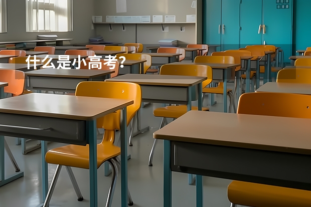 什么是小高考？