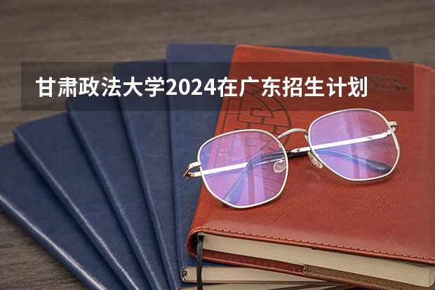 甘肃政法大学2024在广东招生计划