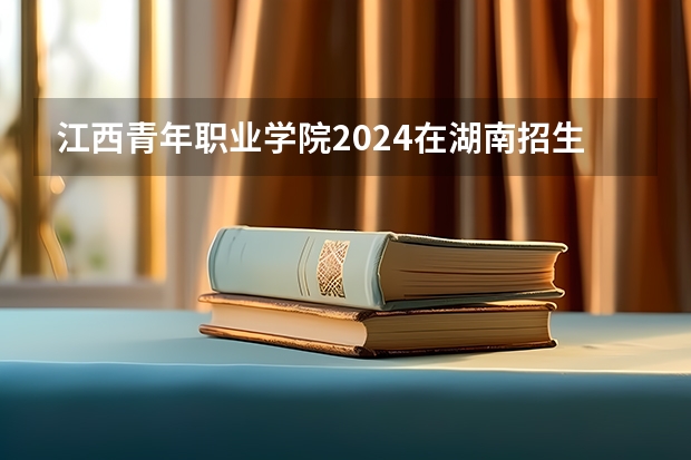 江西青年职业学院2024在湖南招生计划