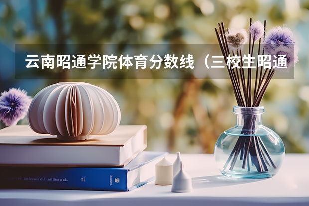云南昭通学院体育分数线（三校生昭通学院录取分数线最低分）