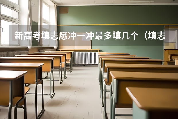 新高考填志愿冲一冲最多填几个（填志愿一个学校可以选几个专业组）