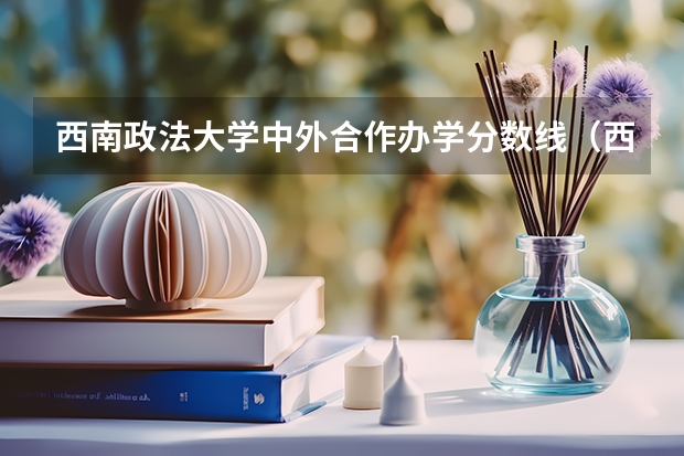 西南政法大学中外合作办学分数线（西南政法大学本科招生简章,招生专业）
