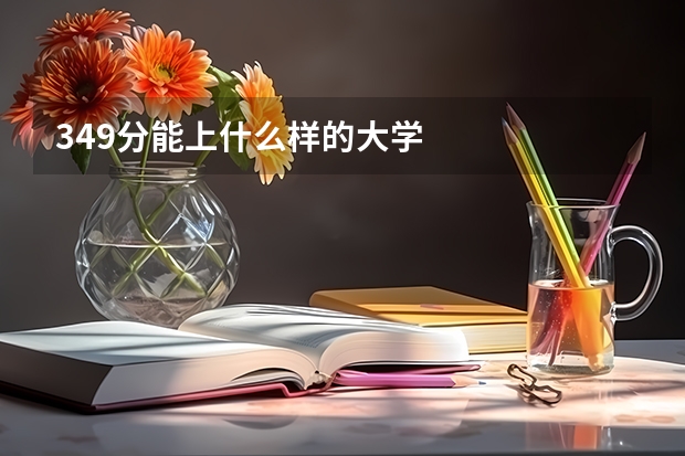 349分能上什么样的大学