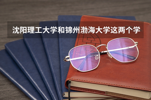 沈阳理工大学和锦州渤海大学这两个学校哪个好?如果成考什么专业比较好呢?