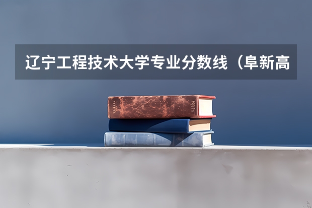辽宁工程技术大学专业分数线(阜新高专录取分数线)
