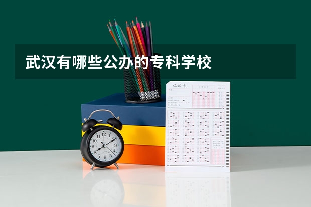 武汉有哪些公办的专科学校