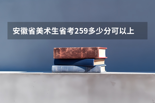 安徽省美术生省考259多少分可以上湖北师范大学？