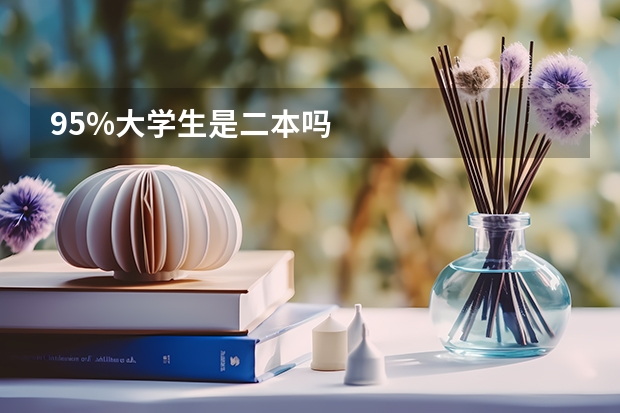 95%大学生是二本吗