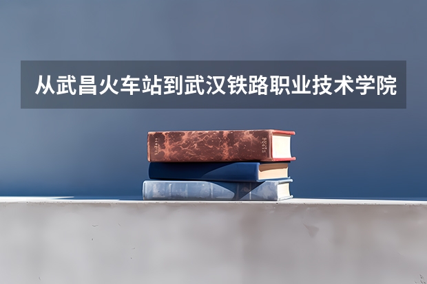 从武昌火车站到武汉铁路职业技术学院（江夏区）怎么走