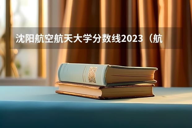 沈阳航空航天大学分数线2023(航空飞行技术专业分数线)