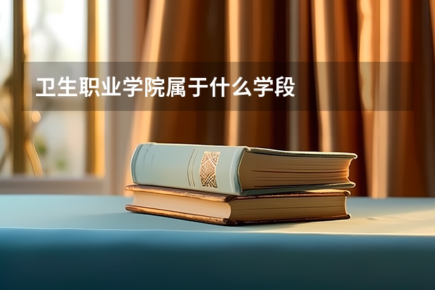 卫生职业学院属于什么学段