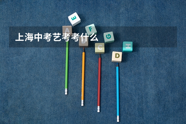 上海中考艺考考什么