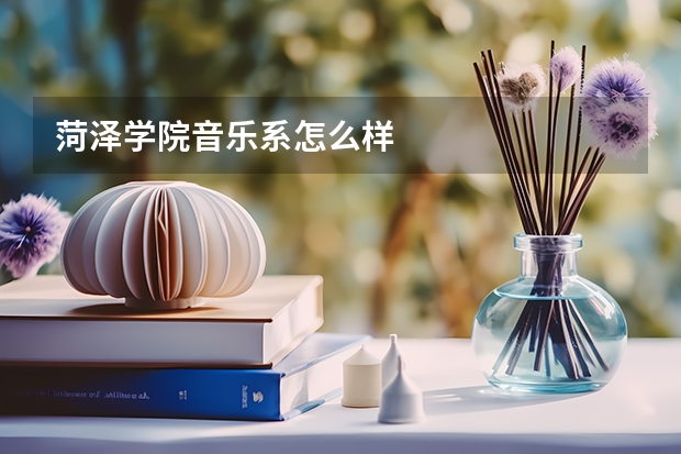 菏泽学院音乐系怎么样