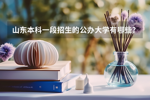 山东本科一段招生的公办大学有哪些？在鲁的投档线各是多少分？