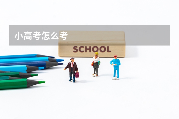 小高考怎么考