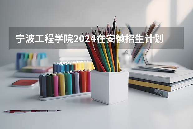 宁波工程学院2024在安徽招生计划