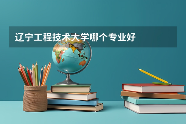 辽宁工程技术大学哪个专业好