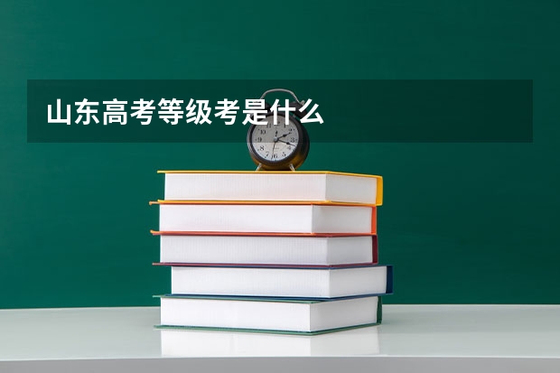 山东高考等级考是什么