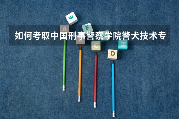 如何考取中国刑事警察学院警犬技术专业？