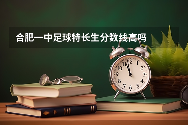 合肥一中足球特长生分数线高吗