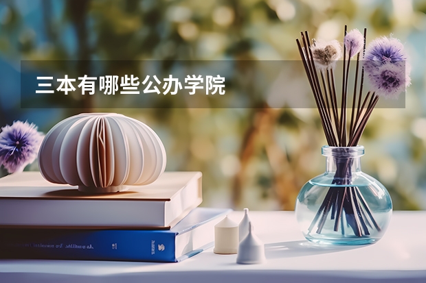 三本有哪些公办学院