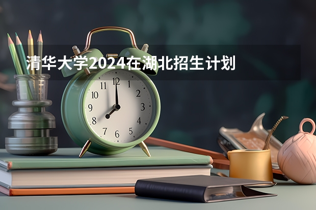清华大学2024在湖北招生计划