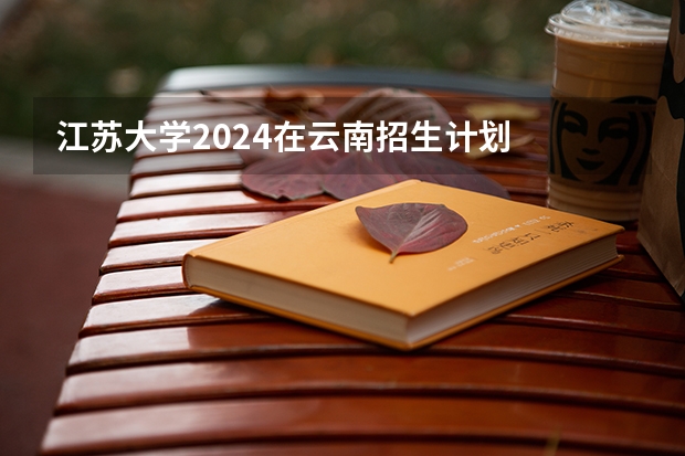 江苏大学2024在云南招生计划