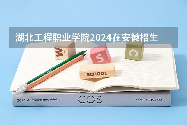 湖北工程职业学院2024在安徽招生计划