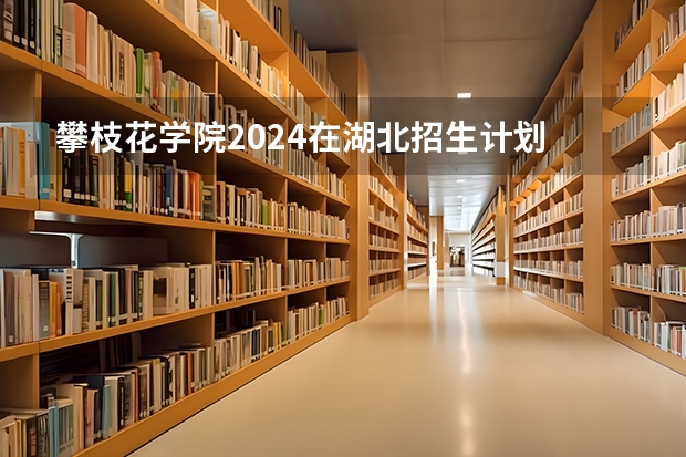 攀枝花学院2024在湖北招生计划