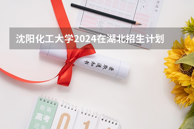 沈阳化工大学2024在湖北招生计划