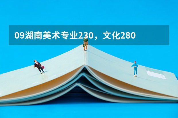 09湖南美术专业230,文化280到310可以上长沙的哪些大学?