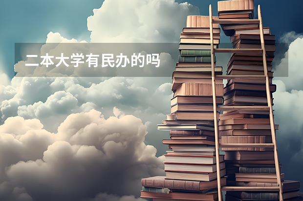 二本大学有民办的吗