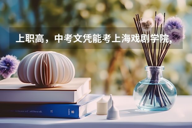 上职高,中考文凭能考上海戏剧学院,北京电影学院,中央音乐学院吗
