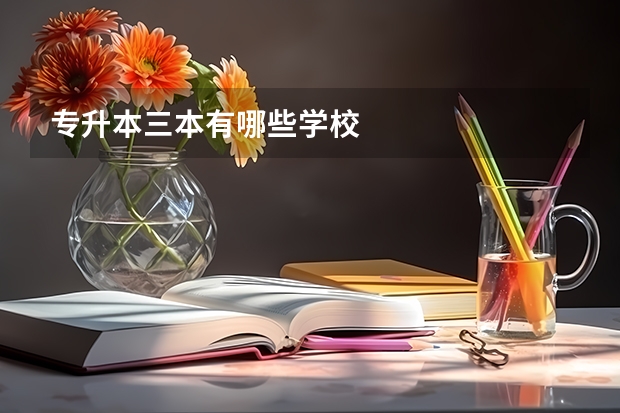 专升本三本有哪些学校